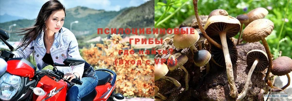 бутират Волосово