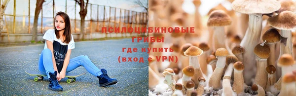 бутират Волосово
