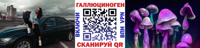 Псилоцибиновые грибы Psilocybine cubensis  Избербаш 